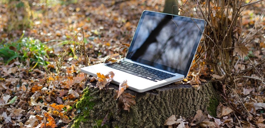 Laptop on a tree stump