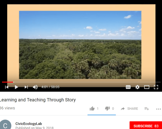 Screenshot of slide showing treetops