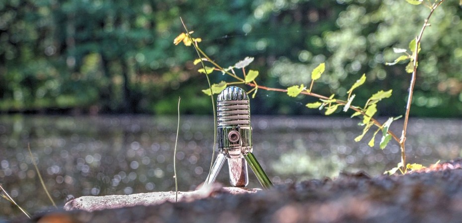 Microphone in a woodland
