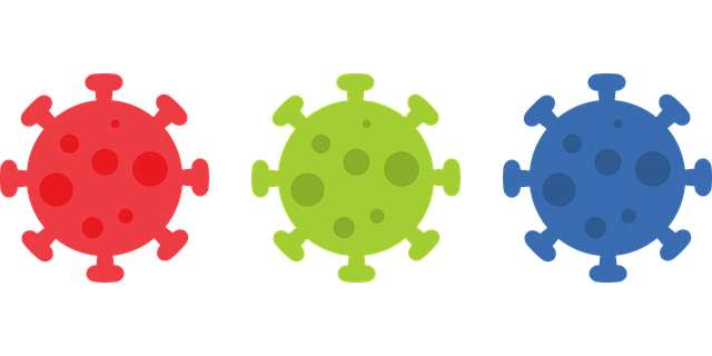 Three cartoon images of the SARS-CoV2 virus - red, green and blue