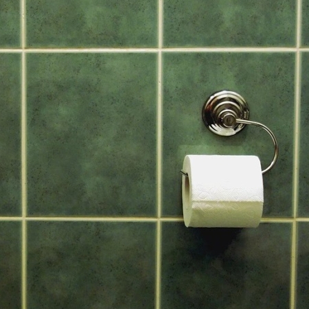 Roll of white toilet paper on green tiles. Image by Licht-aus from Pixabay